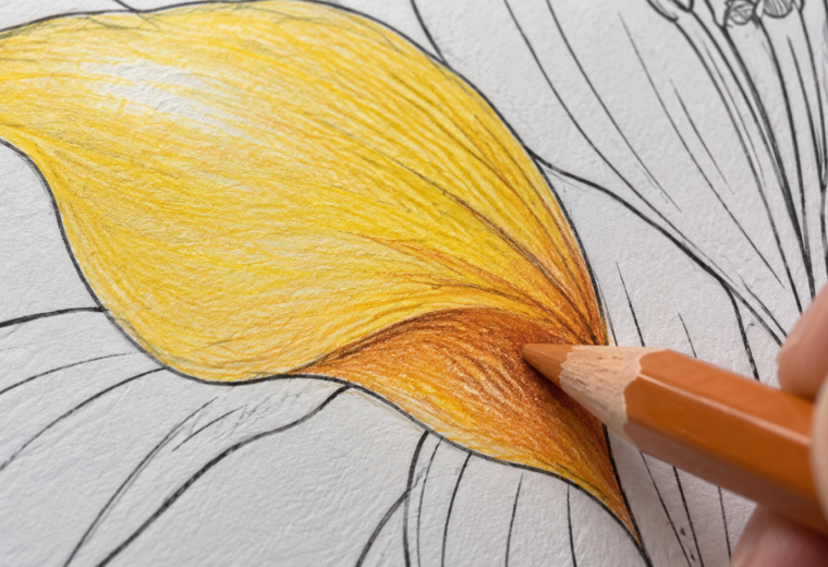 Detalle de un pétalo coloreado en amarillo y naranja con un lápiz ocre junto a la zona de sombra.